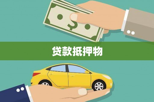 邵阳县贷款抵押物