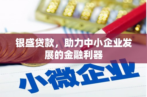 邵阳县银盛贷款，助力中小企业发展的金融利器