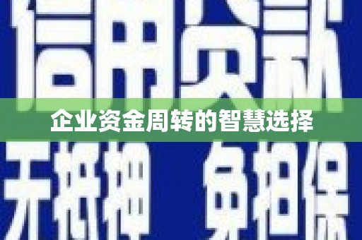 邵阳县企业资金周转的智慧选择