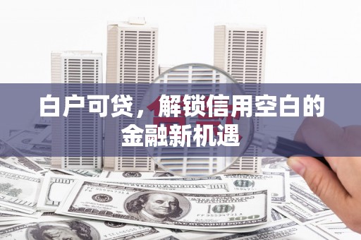 邵阳县白户可贷，解锁信用空白的金融新机遇