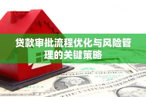 邵阳县贷款审批流程优化与风险管理的关键策略