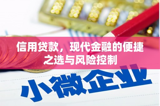 邵阳县信用贷款，现代金融的便捷之选与风险控制