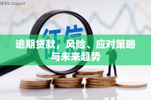 邵阳县逾期贷款，风险、应对策略与未来趋势