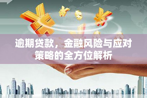 邵阳县逾期贷款，金融风险与应对策略的全方位解析