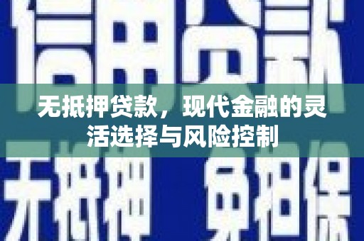 邵阳县无抵押贷款，现代金融的灵活选择与风险控制