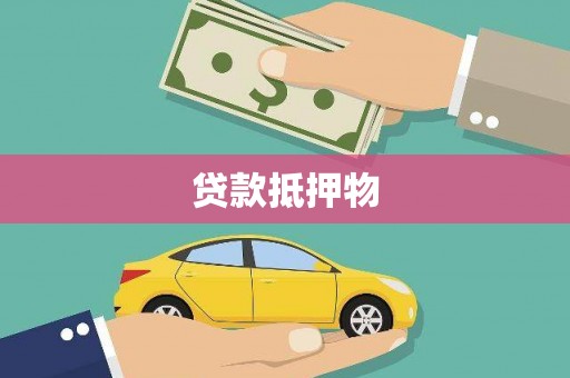 邵阳县贷款抵押物