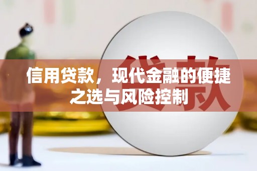 邵阳县信用贷款，现代金融的便捷之选与风险控制