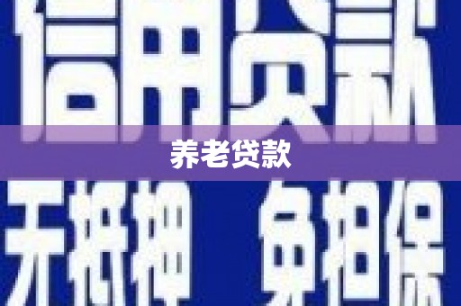 邵阳县养老贷款