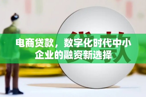 邵阳县电商贷款，数字化时代中小企业的融资新选择