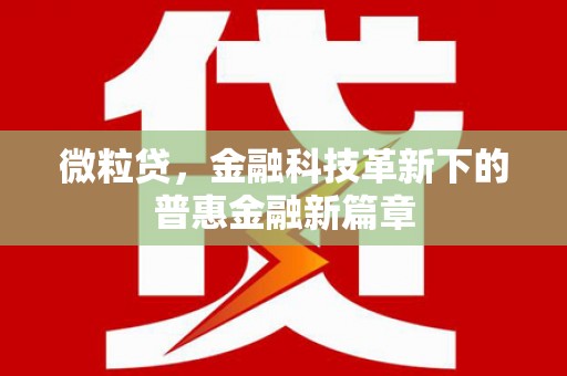 邵阳县微粒贷，金融科技革新下的普惠金融新篇章
