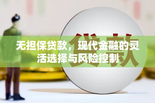 邵阳县无担保贷款，现代金融的灵活选择与风险控制