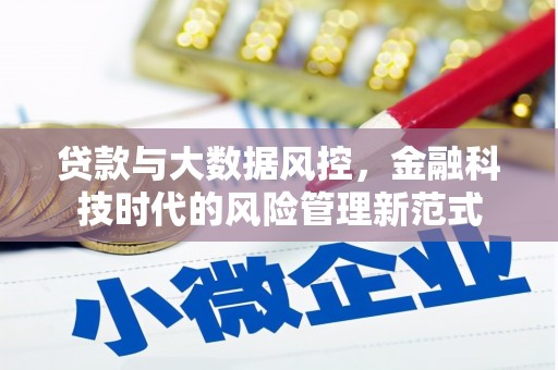 邵阳县贷款与大数据风控，金融科技时代的风险管理新范式