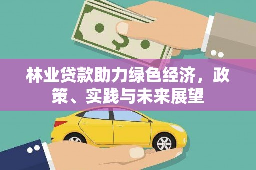 邵阳县林业贷款助力绿色经济，政策、实践与未来展望