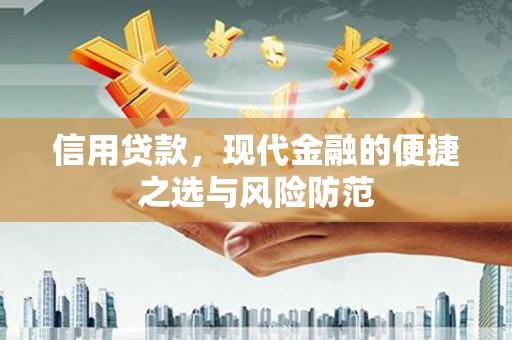 邵阳县信用贷款，现代金融的便捷之选与风险防范
