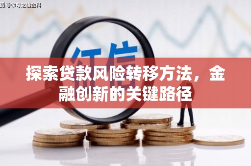 邵阳县探索贷款风险转移方法，金融创新的关键路径