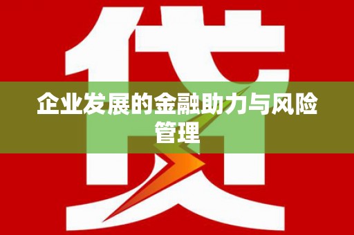 邵阳县企业发展的金融助力与风险管理