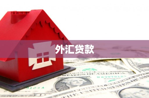 邵阳县外汇贷款