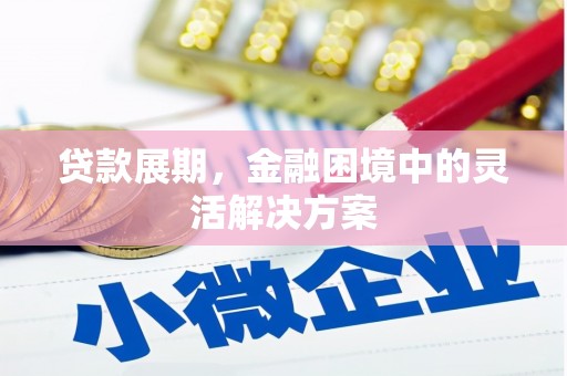 邵阳县贷款展期，金融困境中的灵活解决方案