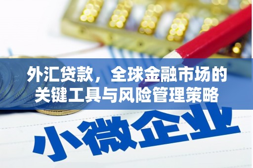 邵阳县外汇贷款，全球金融市场的关键工具与风险管理策略