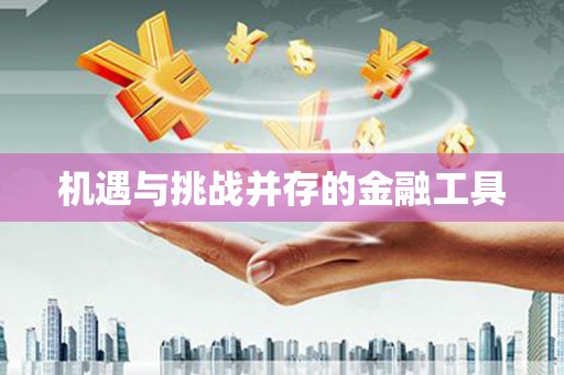 邵阳县机遇与挑战并存的金融工具