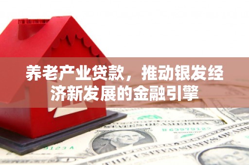 邵阳县养老产业贷款，推动银发经济新发展的金融引擎
