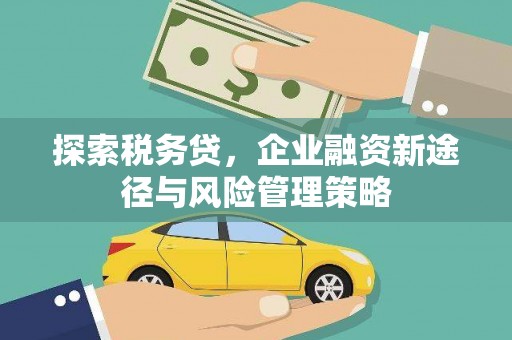 邵阳县探索税务贷，企业融资新途径与风险管理策略