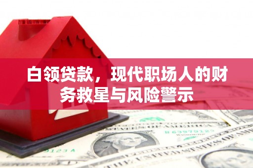 邵阳县白领贷款，现代职场人的财务救星与风险警示