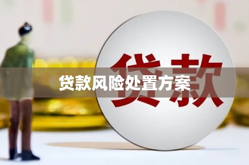 邵阳县贷款风险处置方案