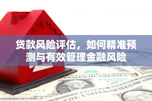 邵阳县贷款风险评估，如何精准预测与有效管理金融风险