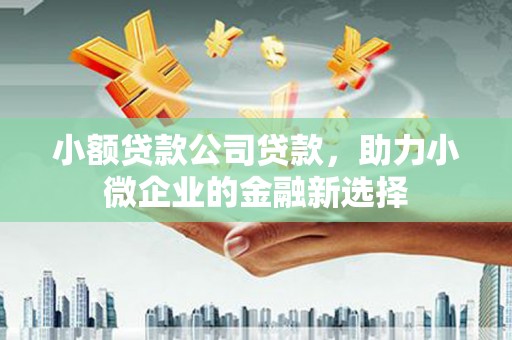 邵阳县小额贷款公司贷款，助力小微企业的金融新选择