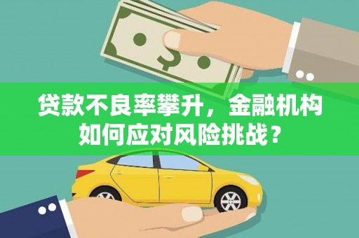 邵阳县贷款不良率攀升，金融机构如何应对风险挑战？