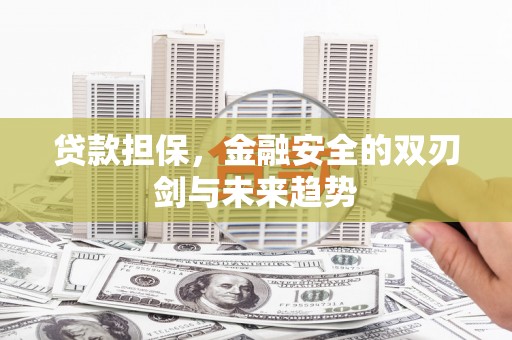 邵阳县贷款担保，金融安全的双刃剑与未来趋势