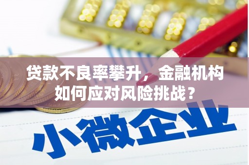 邵阳县贷款不良率攀升，金融机构如何应对风险挑战？