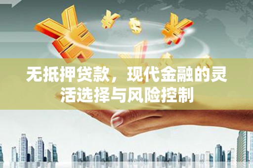 邵阳县无抵押贷款，现代金融的灵活选择与风险控制