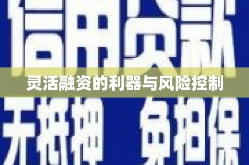 邵阳县灵活融资的利器与风险控制