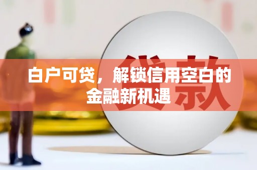 邵阳县白户可贷，解锁信用空白的金融新机遇