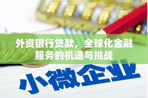 邵阳县外资银行贷款，全球化金融服务的机遇与挑战