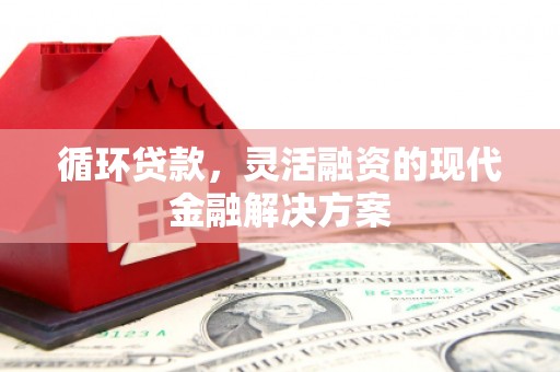 邵阳县循环贷款，灵活融资的现代金融解决方案