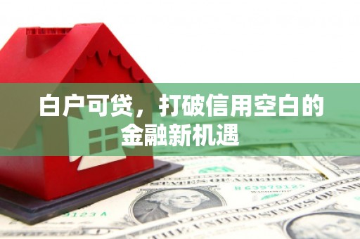 邵阳县白户可贷，打破信用空白的金融新机遇