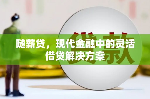 邵阳县随薪贷，现代金融中的灵活借贷解决方案
