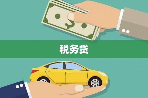 邵阳县税务贷
