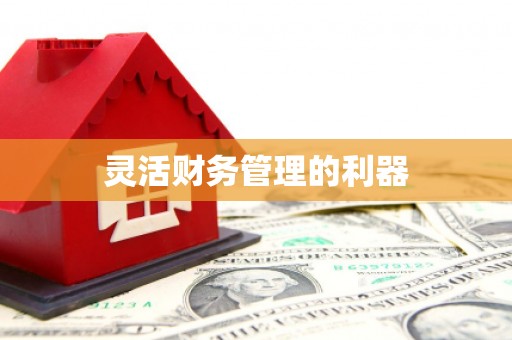邵阳县灵活财务管理的利器