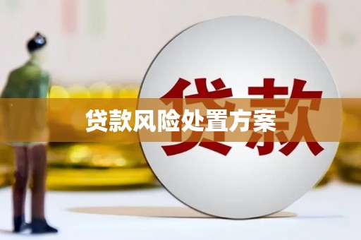 邵阳县贷款风险处置方案