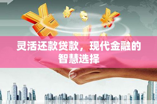 邵阳县灵活还款贷款，现代金融的智慧选择