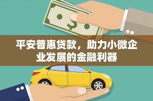 邵阳县平安普惠贷款，助力小微企业发展的金融利器
