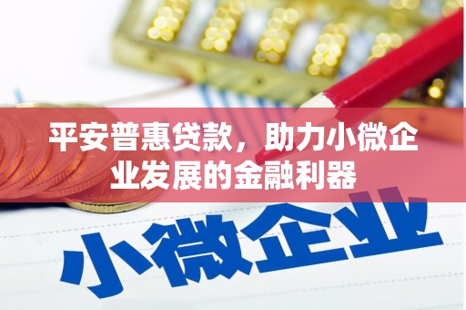 邵阳县平安普惠贷款，助力小微企业发展的金融利器