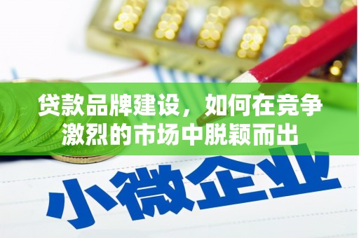 邵阳县贷款品牌建设，如何在竞争激烈的市场中脱颖而出