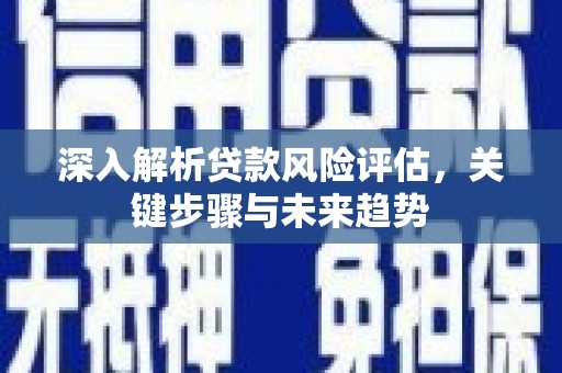 邵阳县深入解析贷款风险评估，关键步骤与未来趋势
