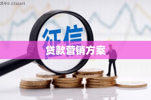 邵阳县贷款营销方案