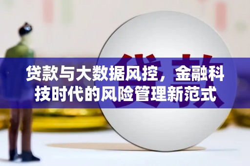 邵阳县贷款与大数据风控，金融科技时代的风险管理新范式